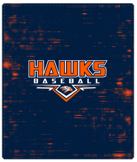 Hawks Baseball Blanket